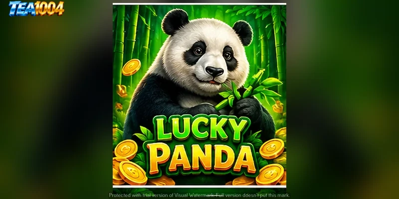 lucky-panda.webp